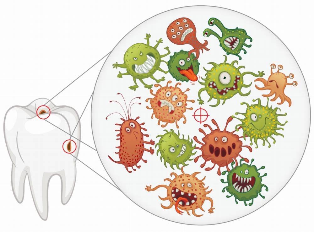 Микроорганизмы зубного налета
