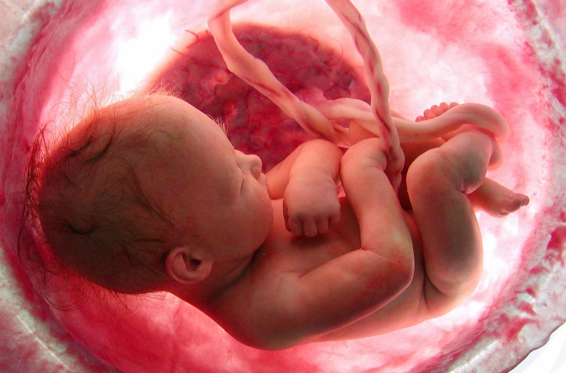 1434056504 baby in womb e1412590261270 Преждевременная отслойка плаценты