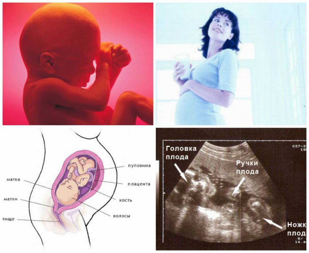PicMonkey Collage122 Клиническое течение беременности