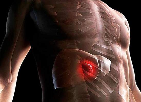the mechanism of liver injury Механизм поражения печени