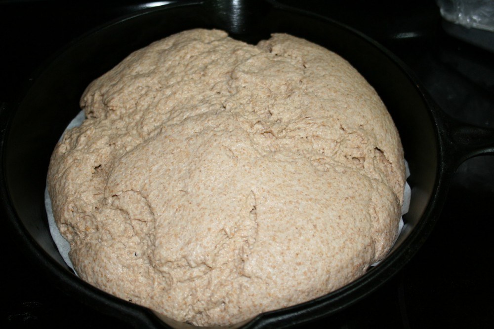 wholegrain wheat baking 070 X2 Тесто при брожении