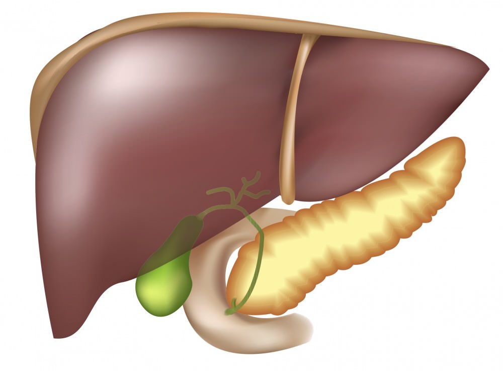 nonalcoholic fatty liver disease Неалкогольная жировая болезнь печени