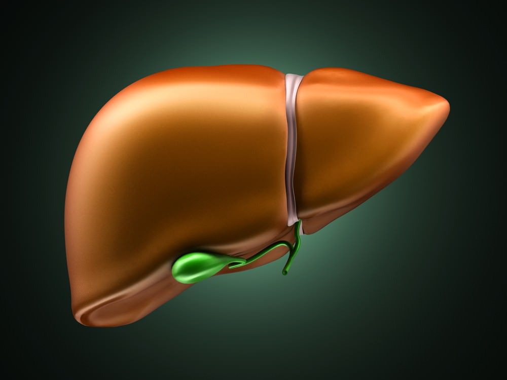 the pathogenesis of liver injury in patients with alleles Патогенез поражения печени у пациентов с аллелями