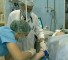 surgery and anesthesia in patients Хирургические вмешательства и наркоз у больных