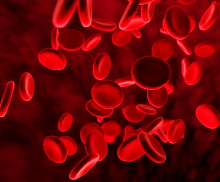 synthetic blood substitute Синтетические кровезаменители
