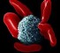izuchenie gumoralnykh faktorov nespetsificheskogo immuniteta Изучение гуморальных факторов неспецифического иммунитета