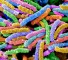 pathogenic microbes Болезнетворные микробы