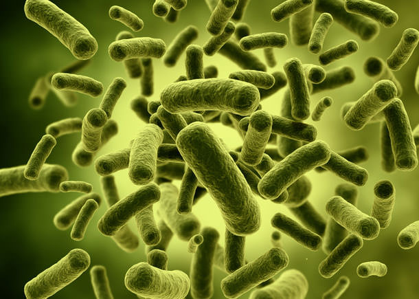 the development of the science of microbes Развитие науки о микробах