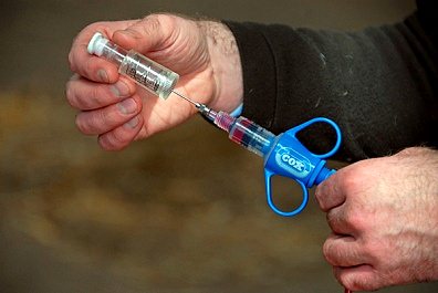 vaccination and re vaccination against brucellosis Вакцинации и ревакцинации против бруцеллеза