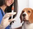 veterinary and sanitary measures Ветеринарные и санитарные меры