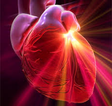 diagnosis of cardiovascular disease Диагностика сердечно-сосудистых заболеваний