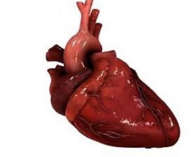 diastolic dysfunction in hypertrophy and heart failure Диастолическая дисфункция при гипертрофии и сердечной недостаточности