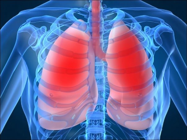 lung disease Заболевания легких