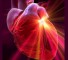 properties sokratimosti heart diseases in humans Свойства сократимости при заболеваниях сердца у человека