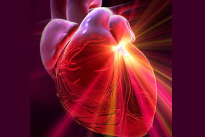 properties sokratimosti heart diseases in humans Свойства сократимости при заболеваниях сердца у человека