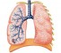 inflammation from the lungs Воспалительные явления со стороны легких