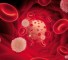 the effect of oxygen therapy on blood coagulation Влияние оксигенотерапии на свертывающую систему крови