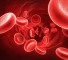 acute blood loss Острая кровопотеря