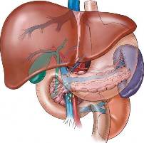 hepatolienal fibrosis Гепатолиенальный фиброз