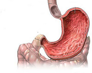 tumors of the gastrointestinal tract Опухоли желудочно-кишечного тракта