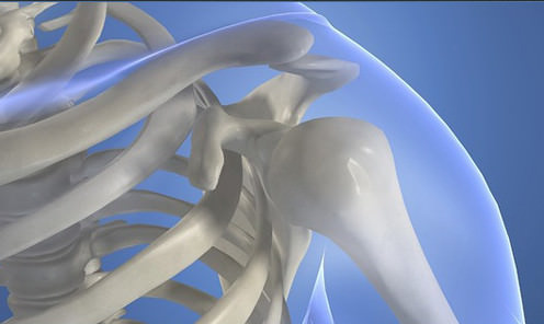 radiography of the shoulder joint Рентгенография плечевого сустава