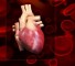 quantification of intracardiac shunts Количественная оценка внутрисердечных шунтов