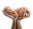 Rebecca Colefax Photography Newborn 33 Грудной ребенок типа Medorrhinum